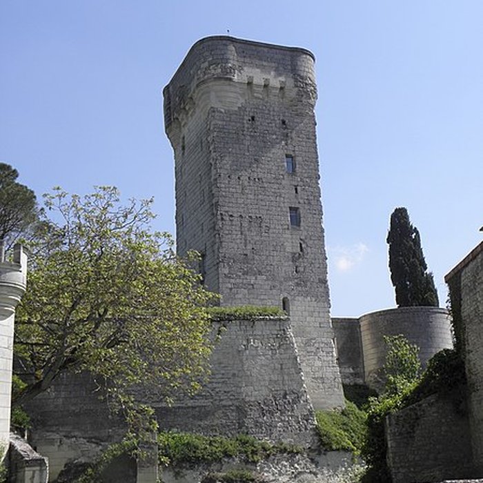 Photo de Donjon de Curçay-sur-Dive