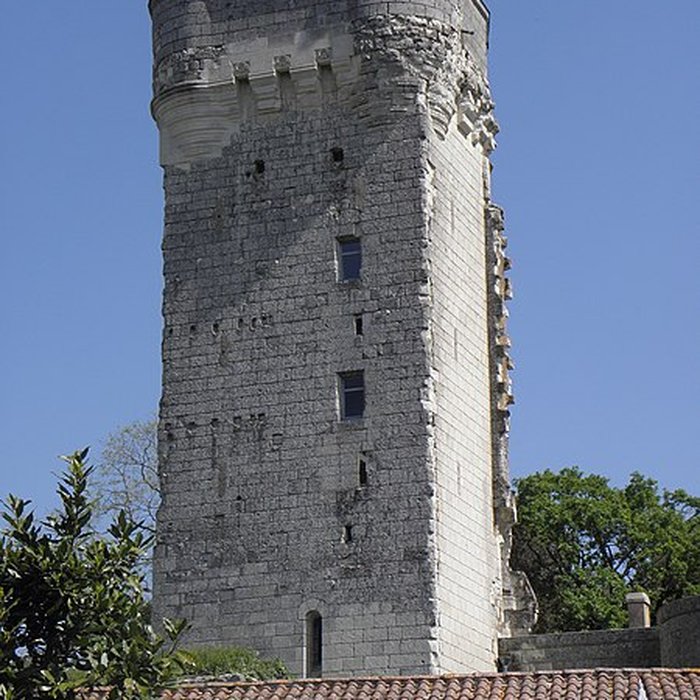 Photo de Donjon de Curçay-sur-Dive