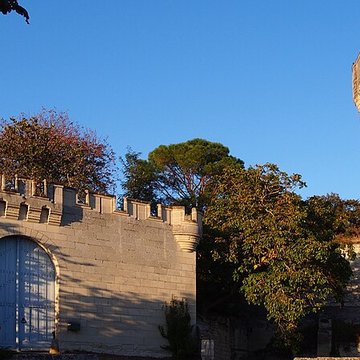 Donjon de Curçay-sur-Dive