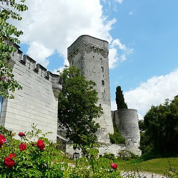Donjon de Curçay-sur-Dive