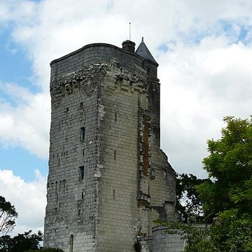 Donjon de Curçay-sur-Dive