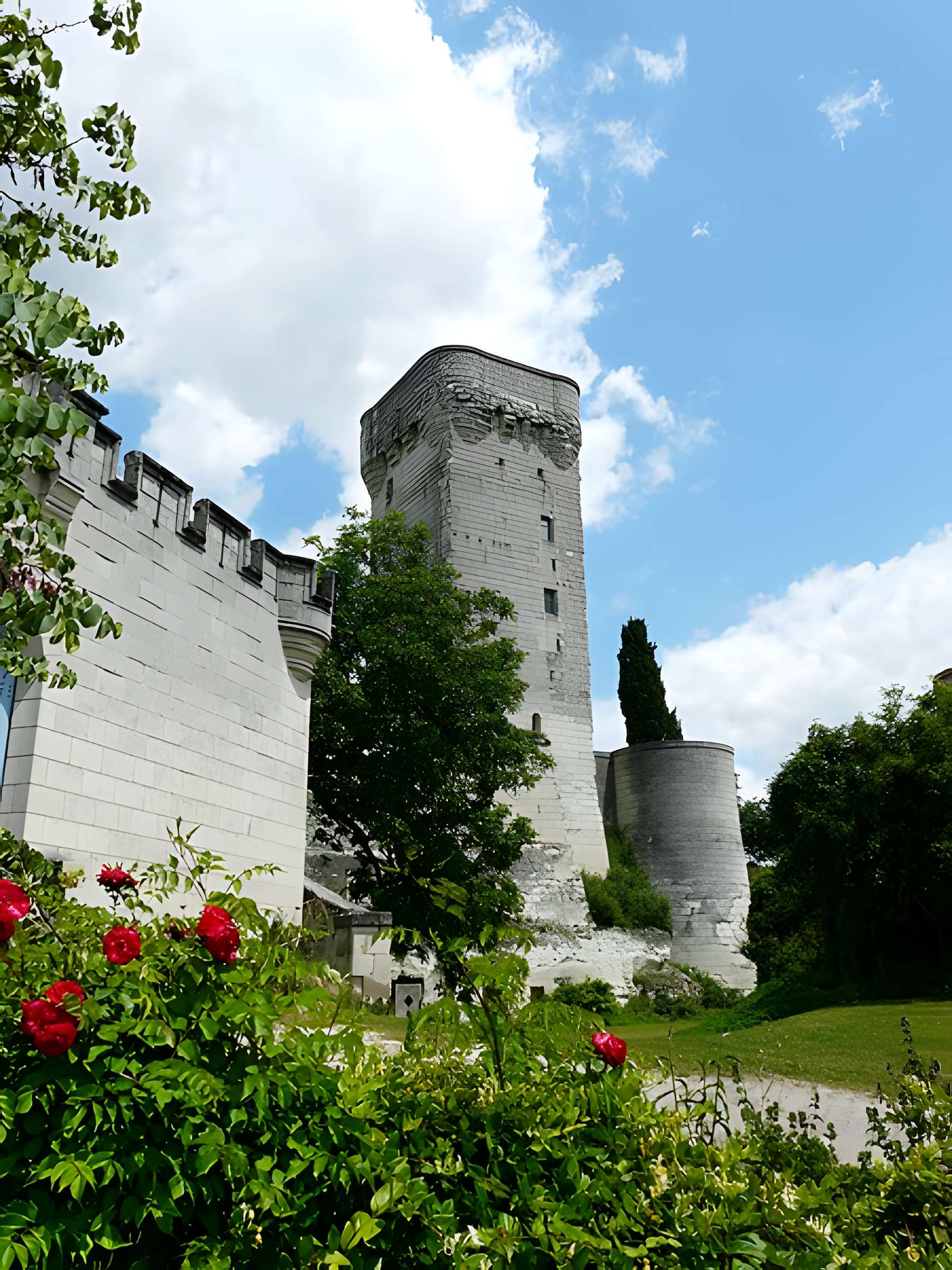 Donjon de Curçay-sur-Dive