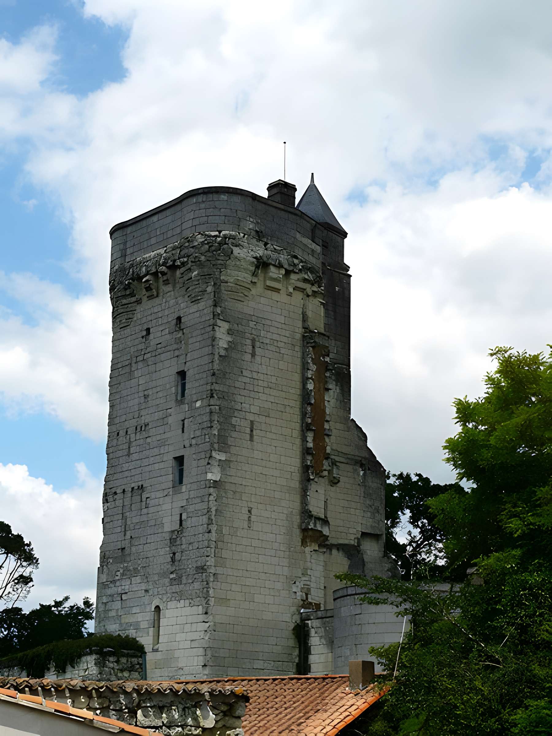 Donjon de Curçay-sur-Dive