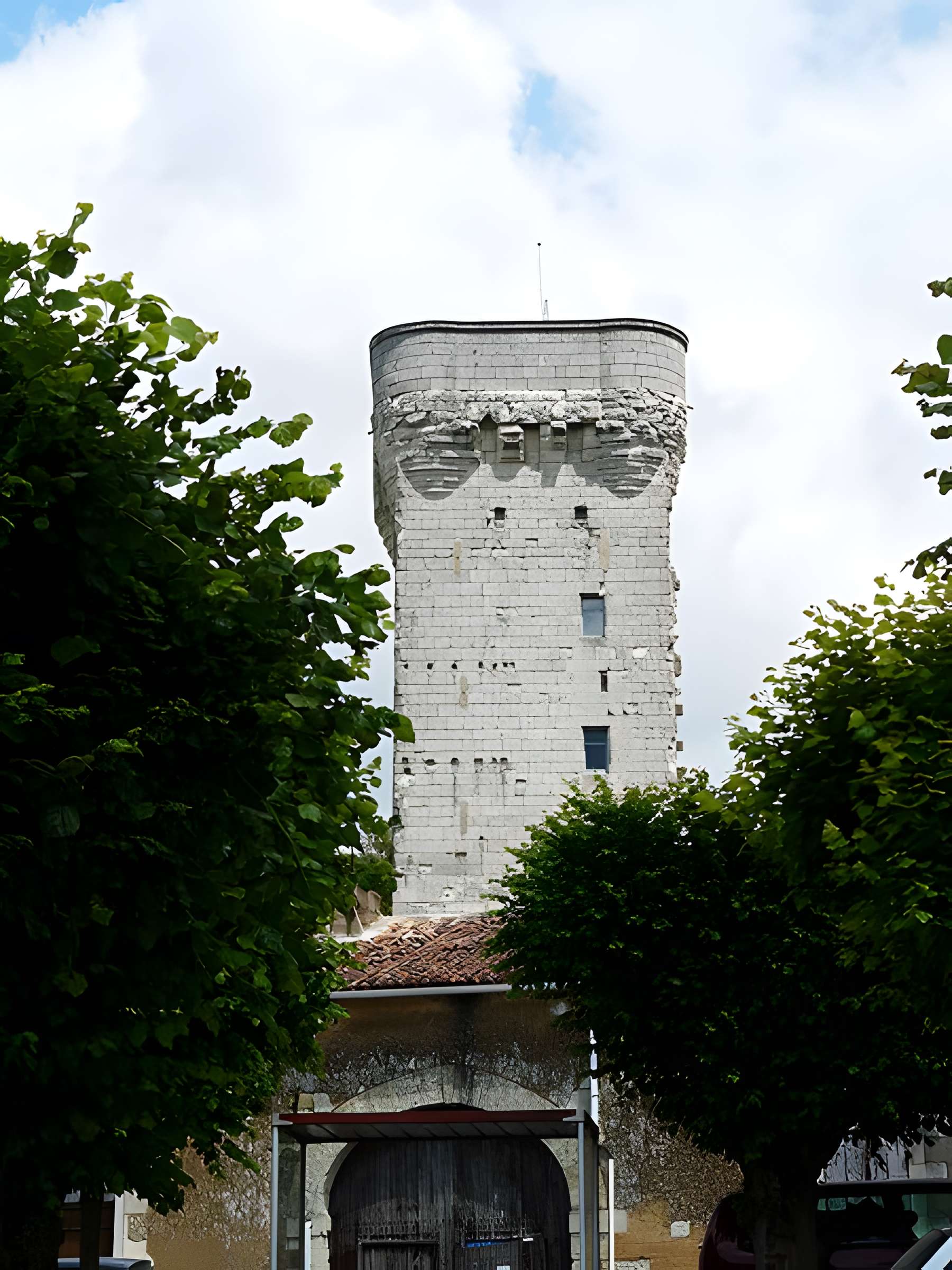 Donjon de Curçay-sur-Dive
