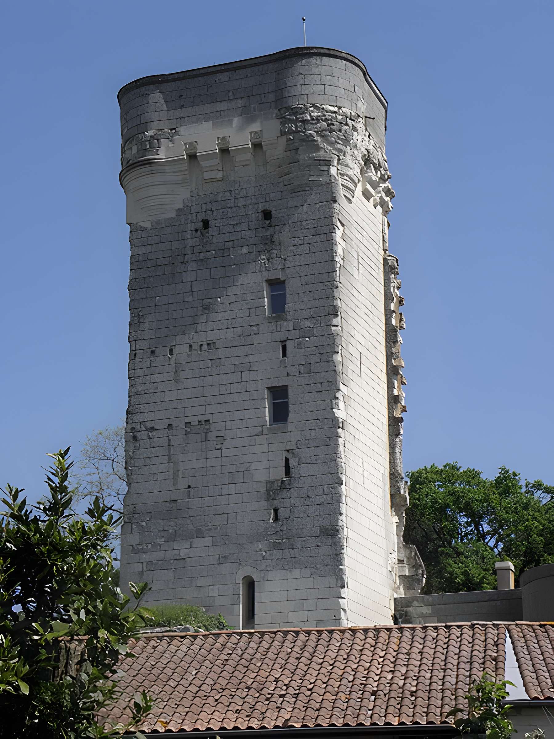 Donjon de Curçay-sur-Dive