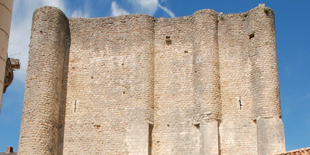Photo de Donjon de Gouzon