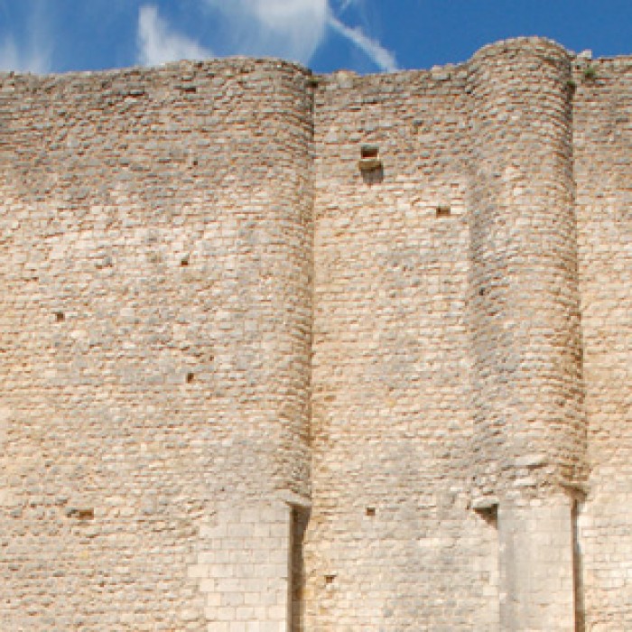 Photo de Donjon de Gouzon