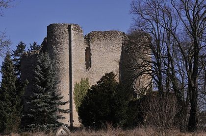 Photo de Donjon de Jouy