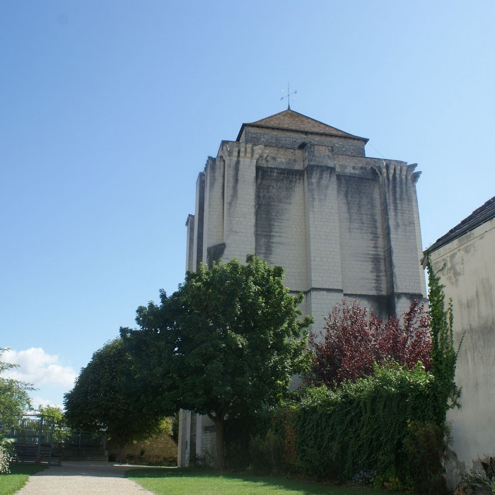 Photo de Donjon de La Roche-Posay