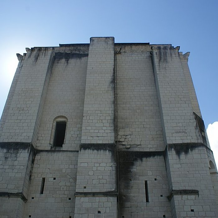 Photo de Donjon de La Roche-Posay