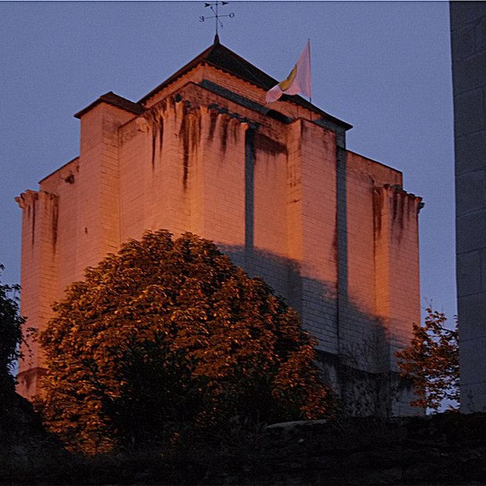 Photo de Donjon de La Roche-Posay