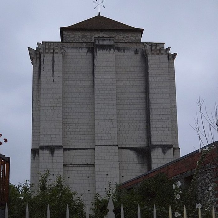 Photo de Donjon de La Roche-Posay