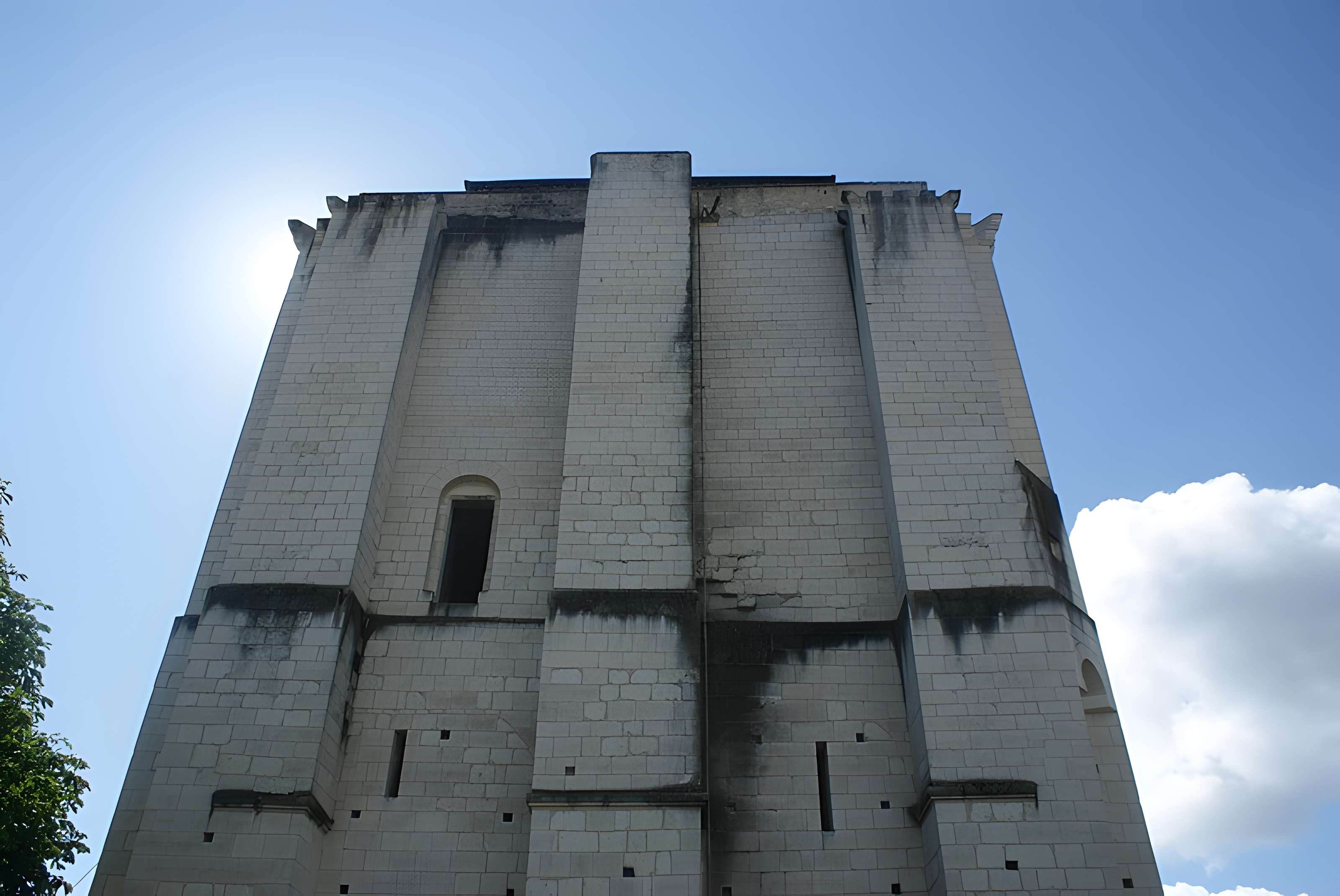 Donjon de La Roche-Posay