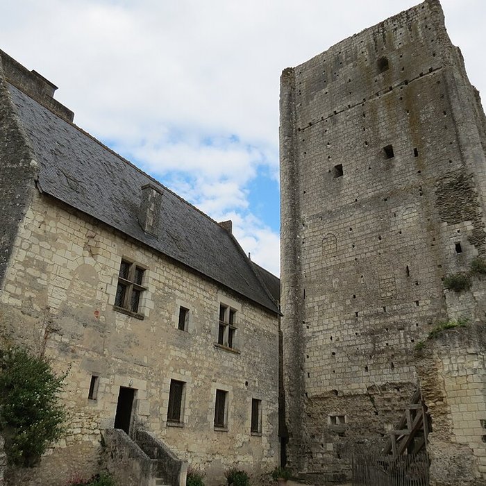 Photo de Donjon de Loches