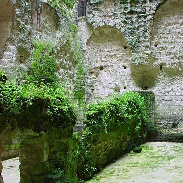 Photo de Donjon de Loches