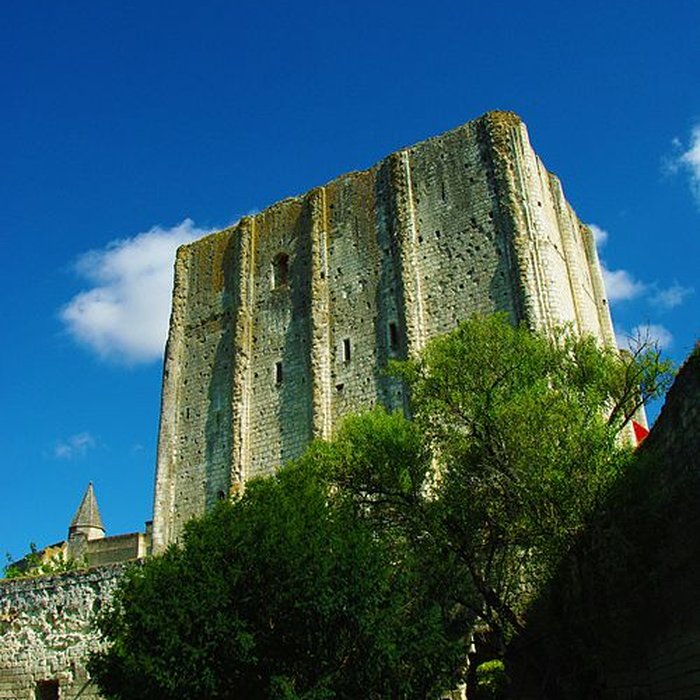 Photo de Donjon de Loches
