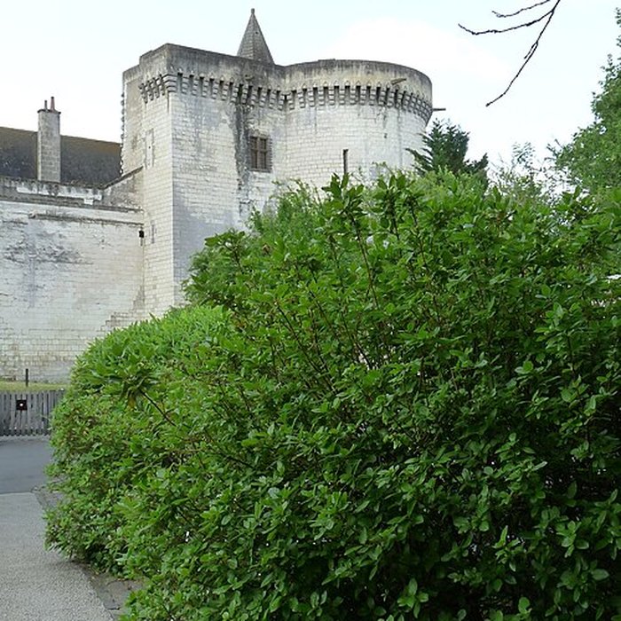 Photo de Donjon de Loches