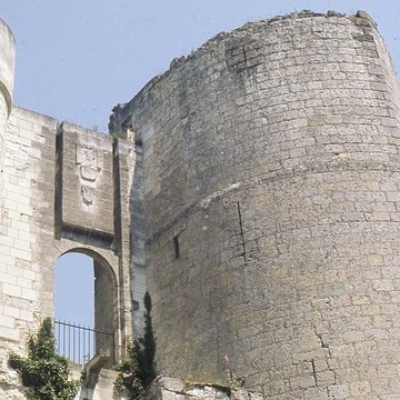 Donjon de Loches