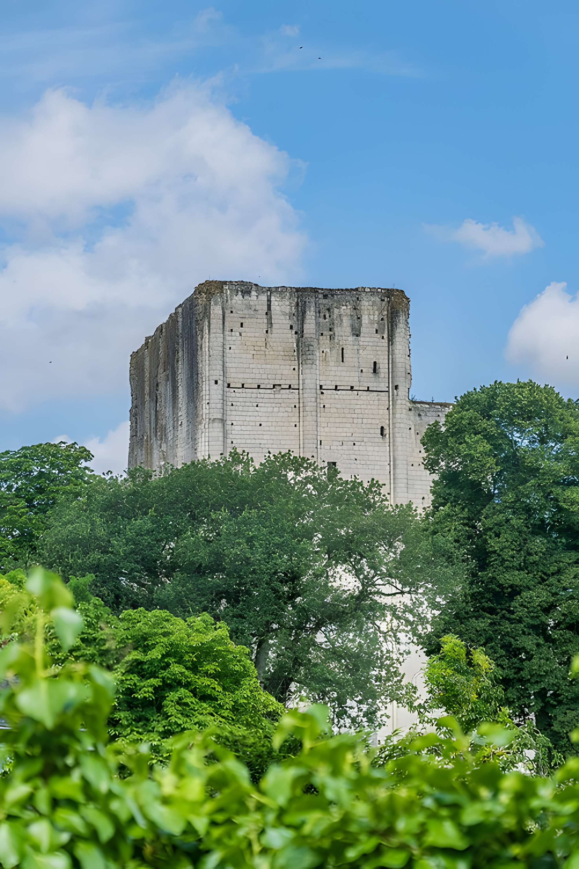 Donjon de Loches