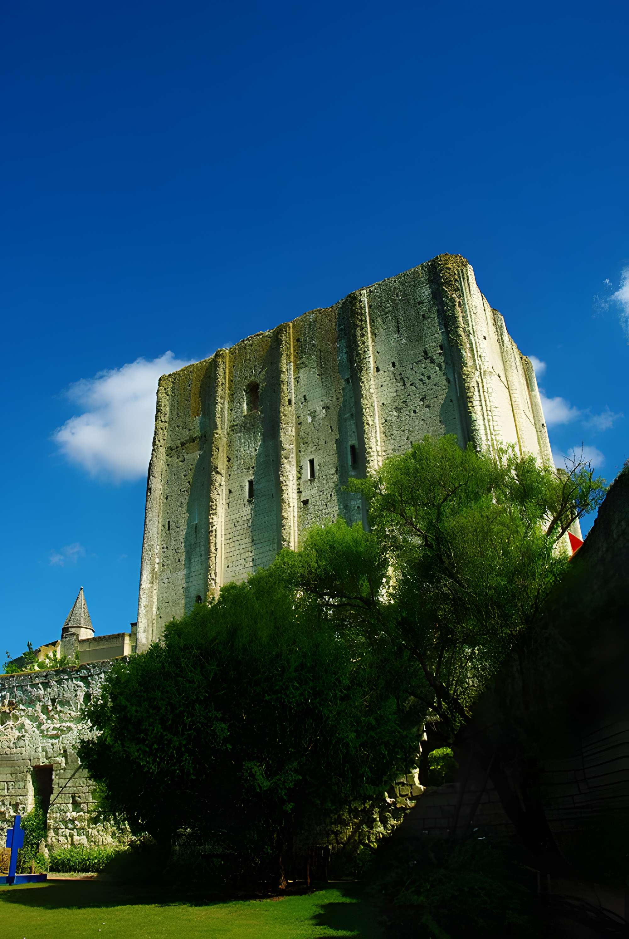 Donjon de Loches