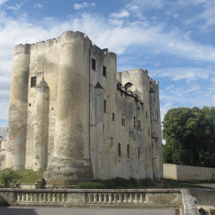 Photo de Château de Niort