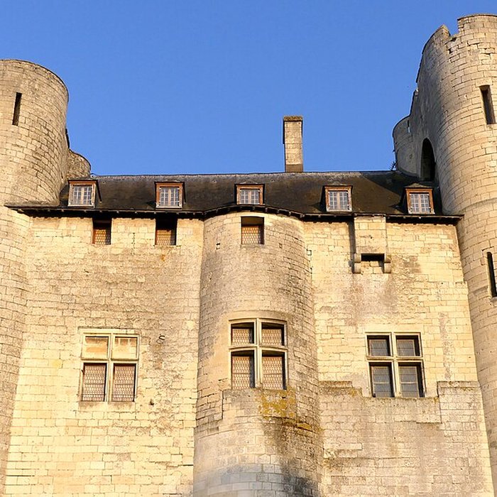 Photo de Château de Niort