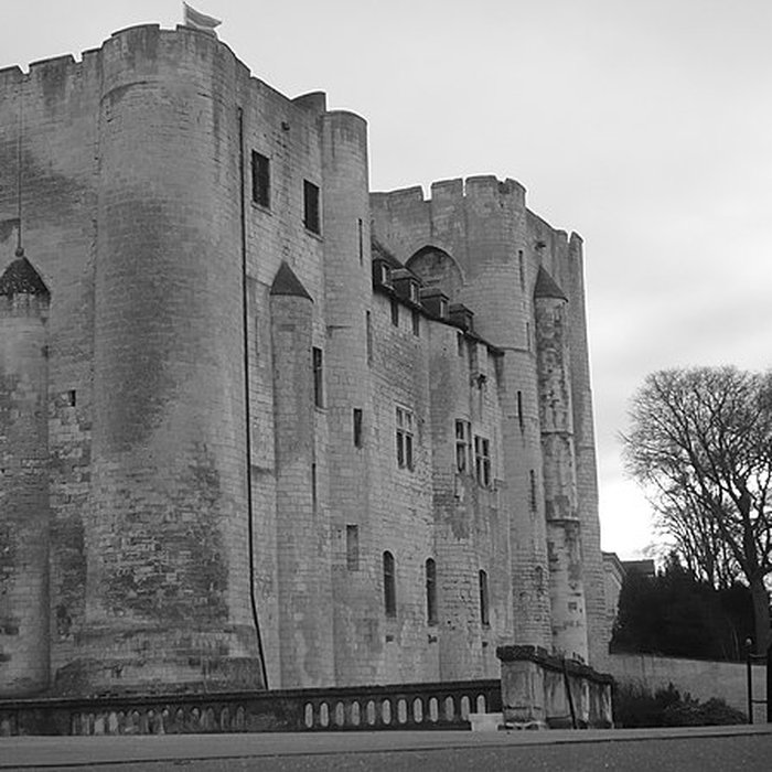 Photo de Château de Niort