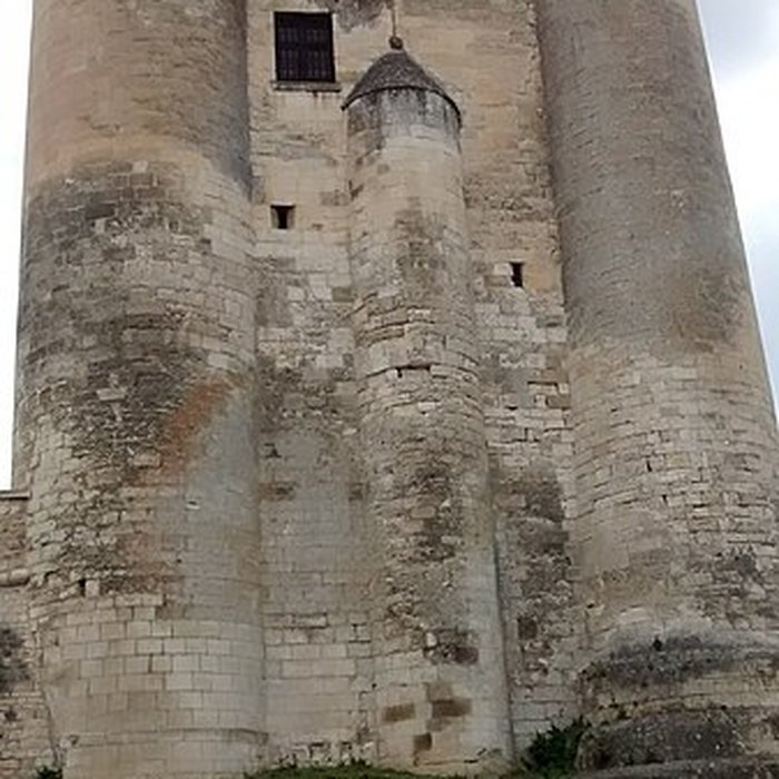 Photo de Château de Niort