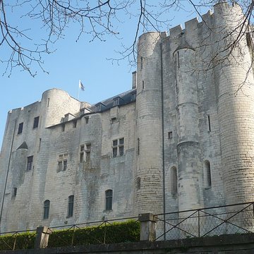 Château de Niort