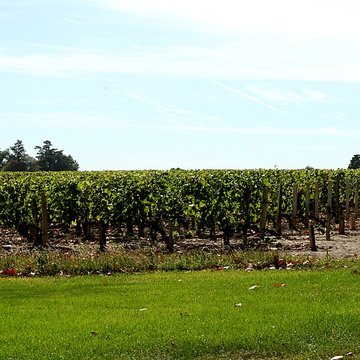 Château Margaux