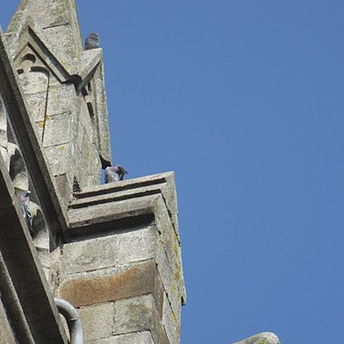 Photo de Église Notre-Dame-des-Champs dAvranches
