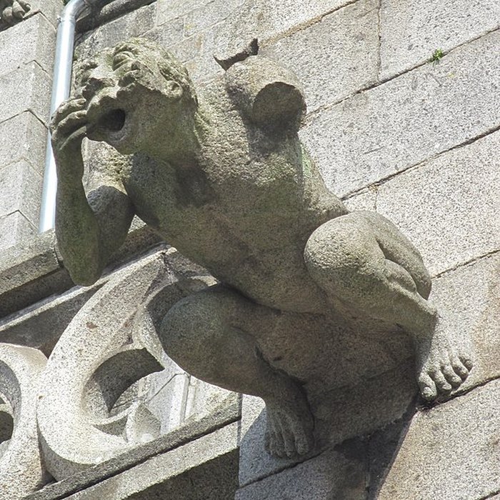 Photo de Église Notre-Dame-des-Champs dAvranches