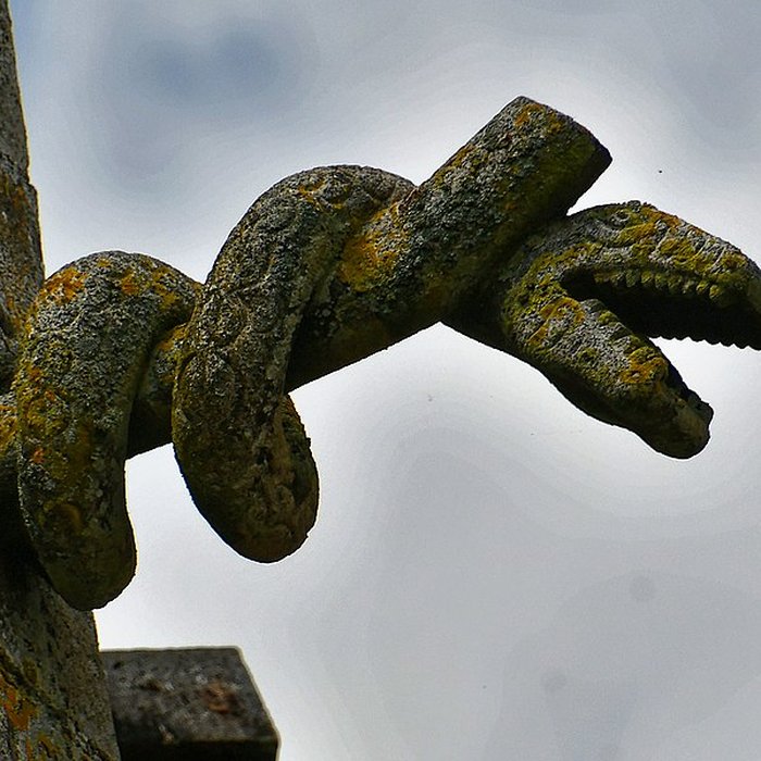 Photo de Église Notre-Dame-des-Champs dAvranches