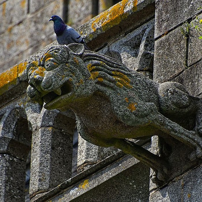 Photo de Église Notre-Dame-des-Champs dAvranches