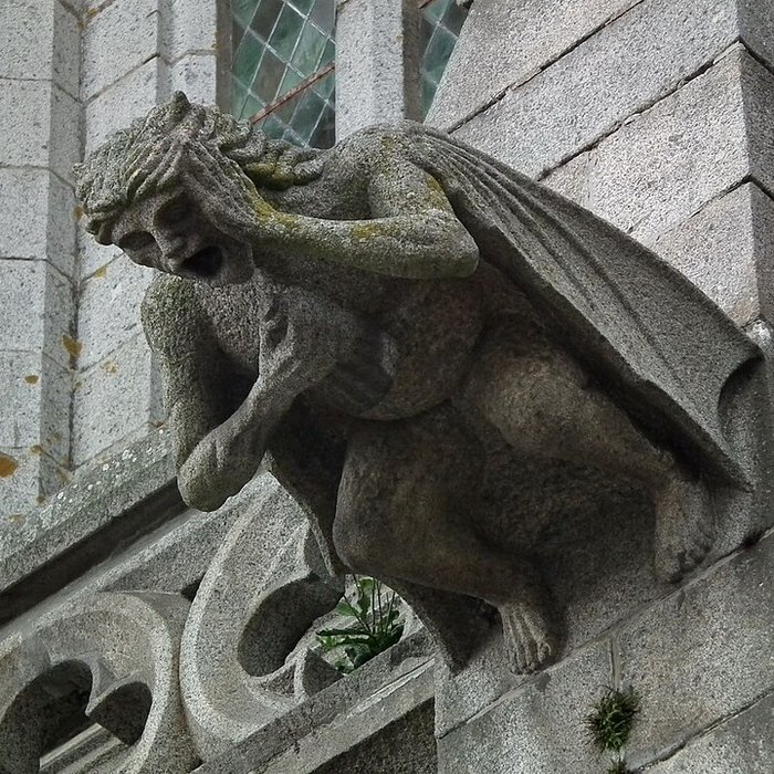 Photo de Église Notre-Dame-des-Champs dAvranches