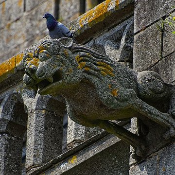 Église Notre-Dame-des-Champs dAvranches 