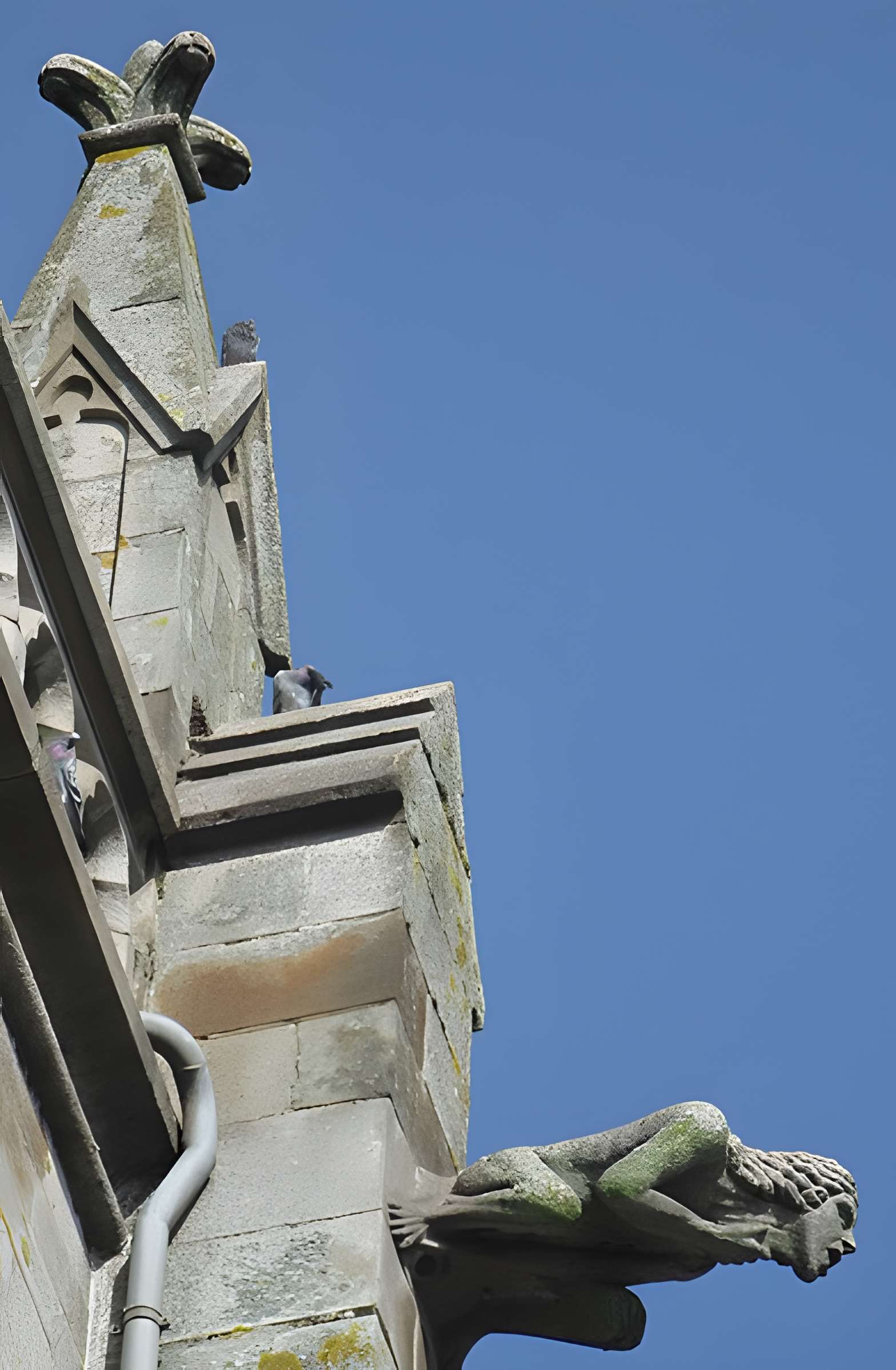 Église Notre-Dame-des-Champs d'Avranches 