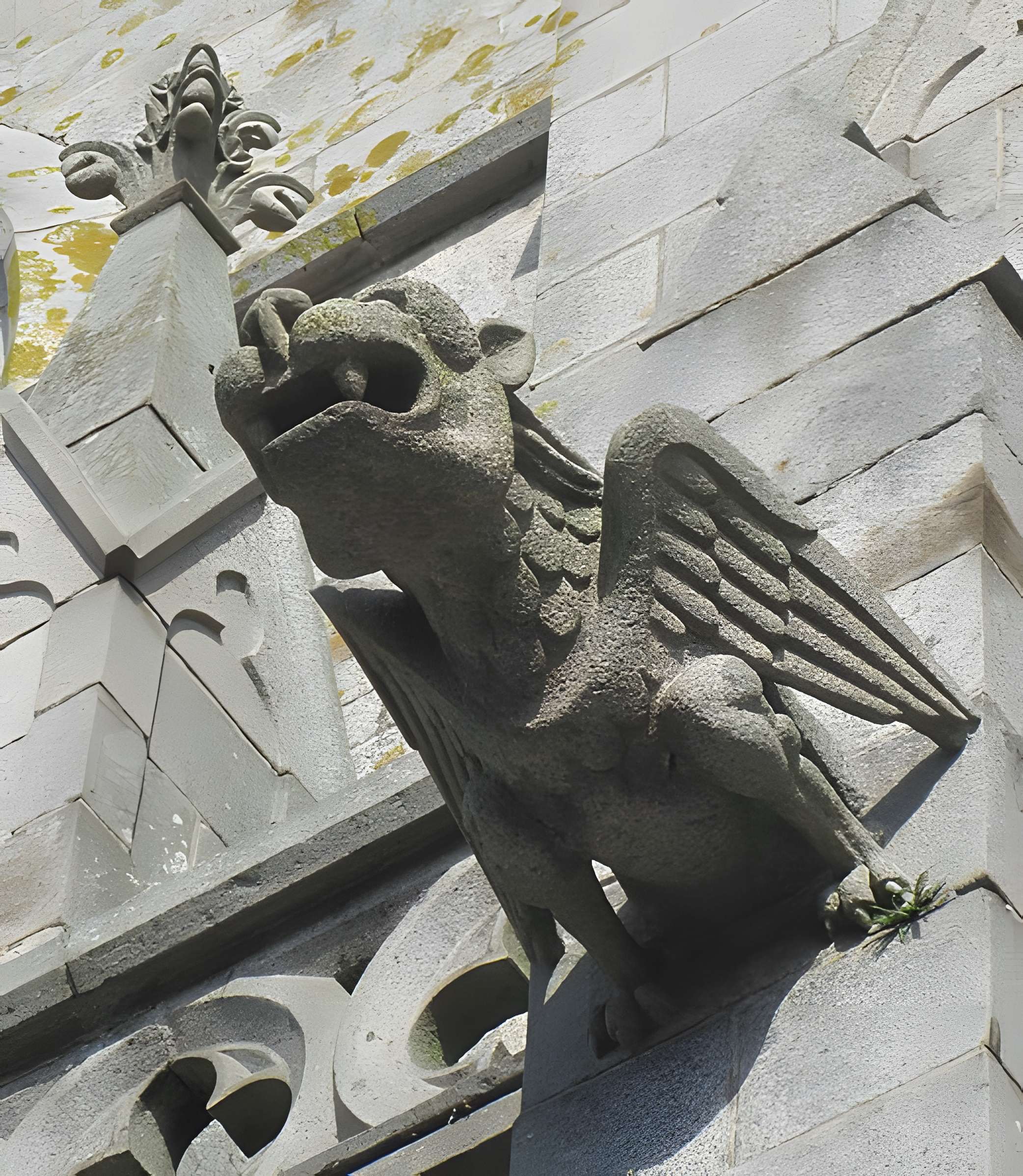 Église Notre-Dame-des-Champs d'Avranches 