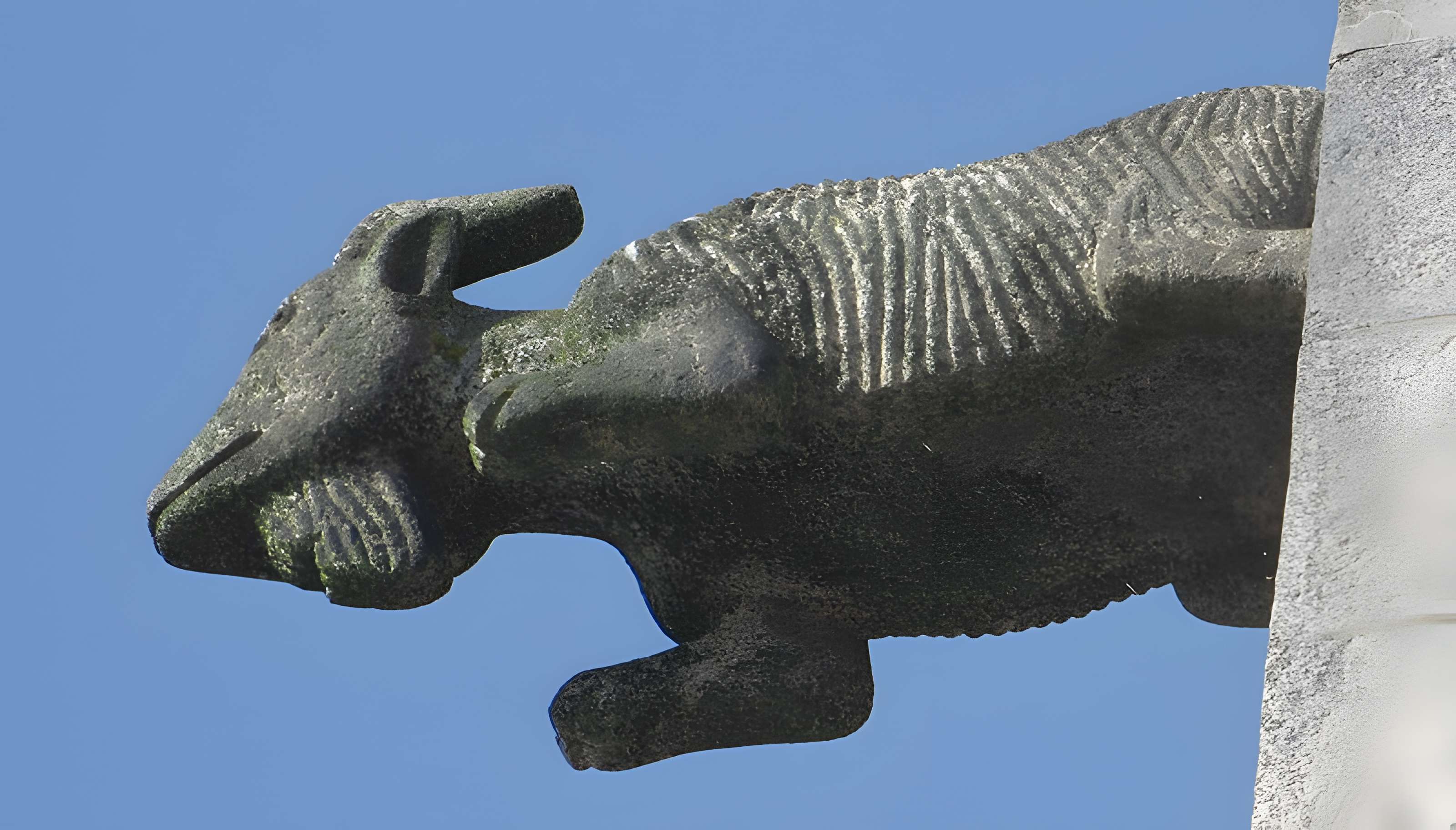 Église Notre-Dame-des-Champs d'Avranches 