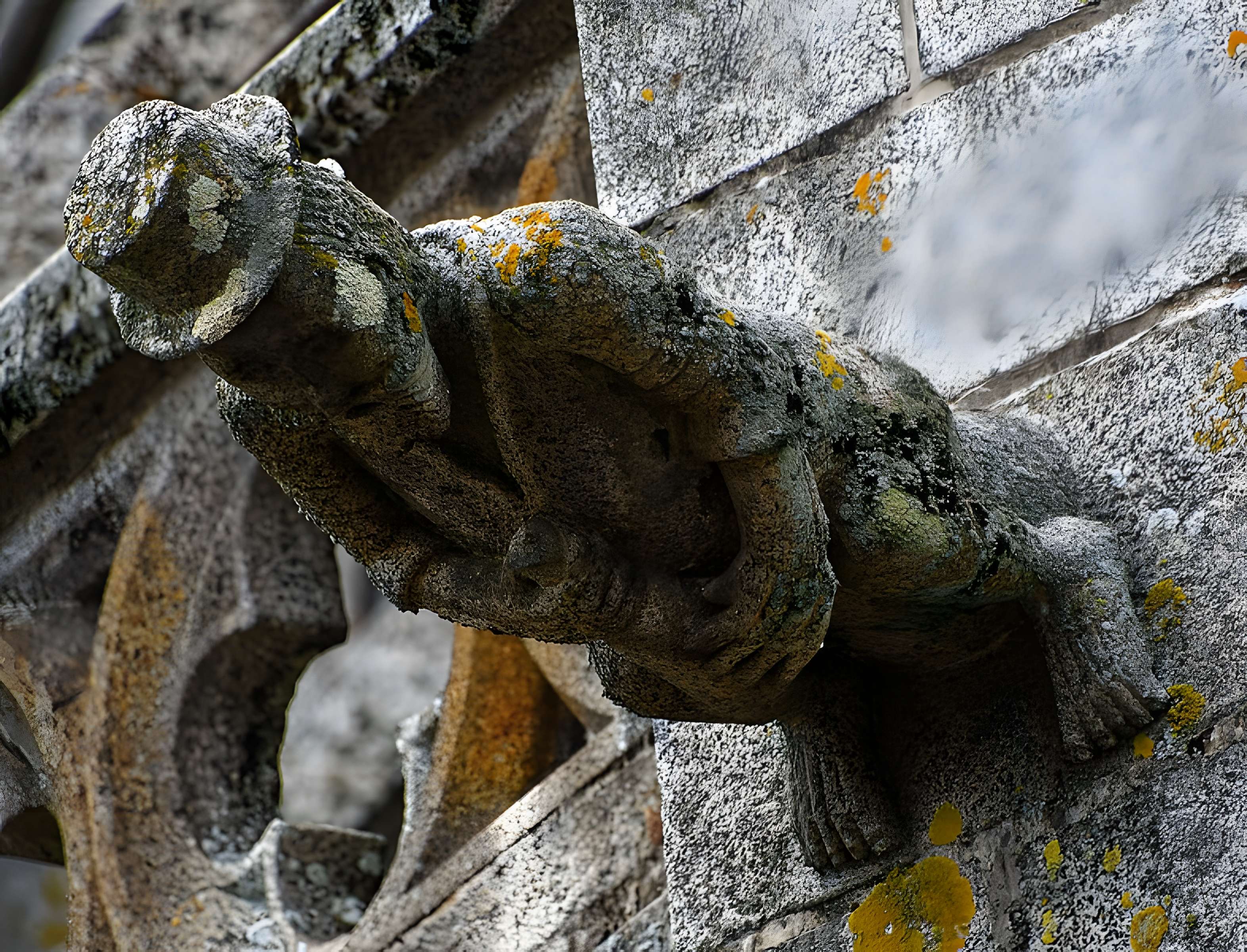 Église Notre-Dame-des-Champs d'Avranches 