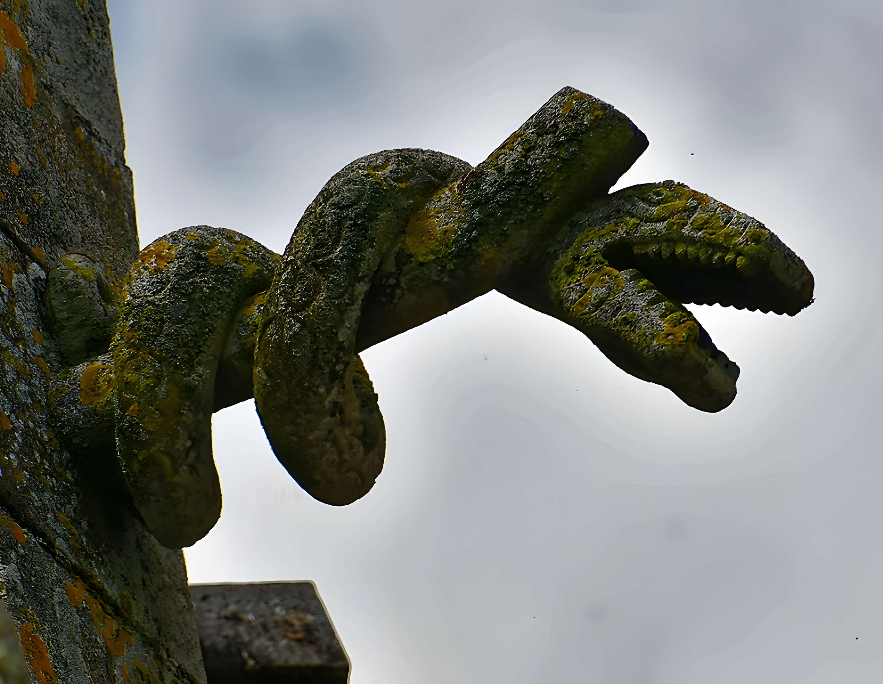 Église Notre-Dame-des-Champs d'Avranches 