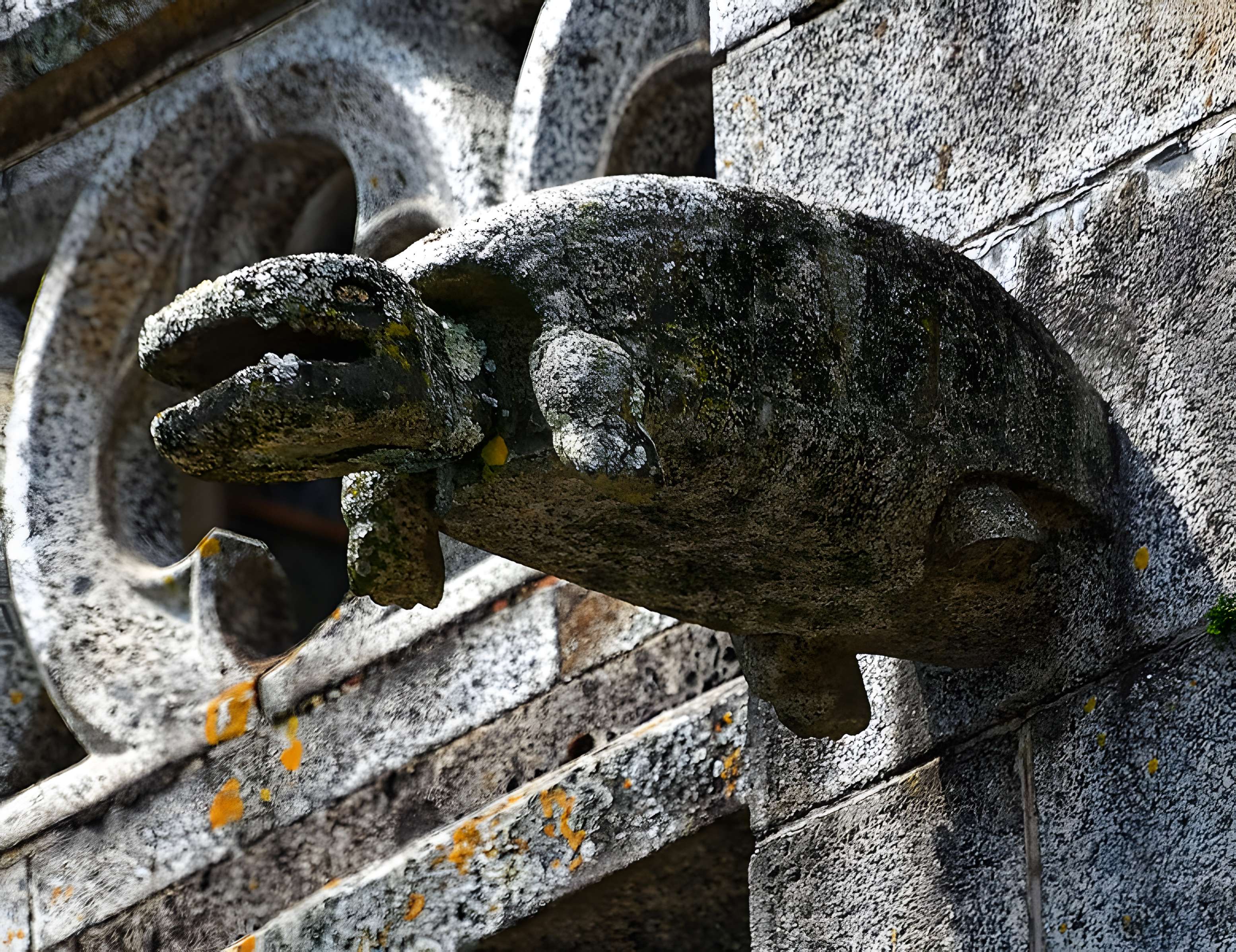 Église Notre-Dame-des-Champs d'Avranches 
