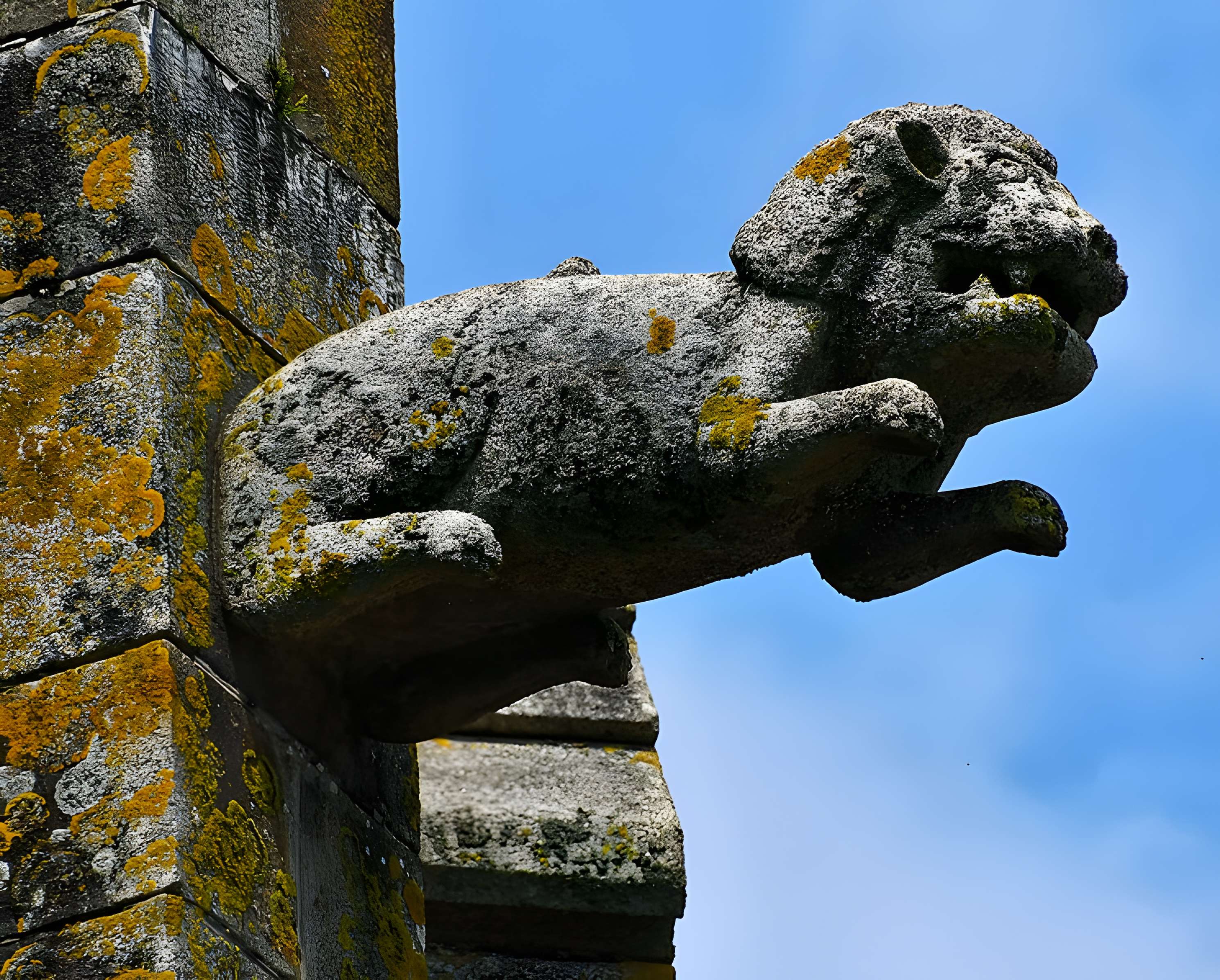 Église Notre-Dame-des-Champs d'Avranches 