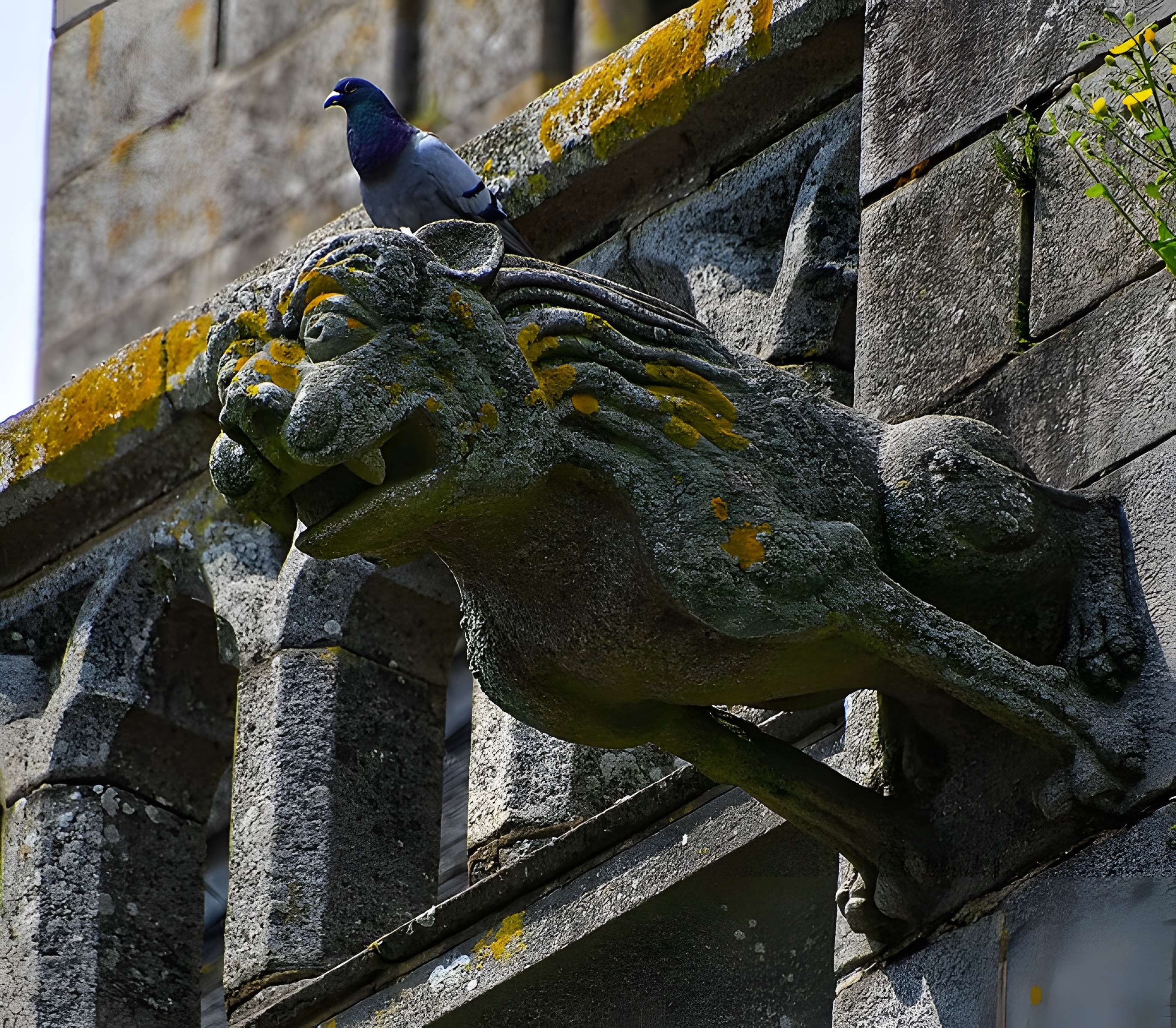 Église Notre-Dame-des-Champs d'Avranches 
