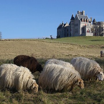 Château observatoire dAbbadia