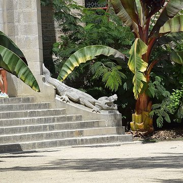 Château observatoire dAbbadia