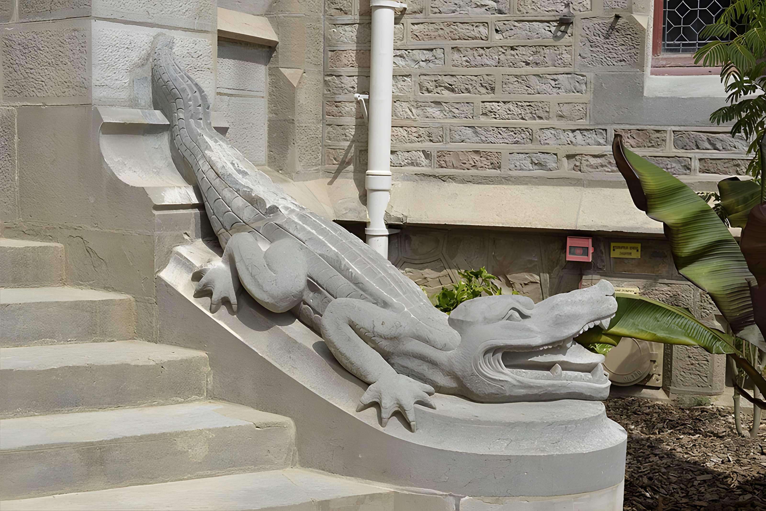 Château observatoire d'Abbadia