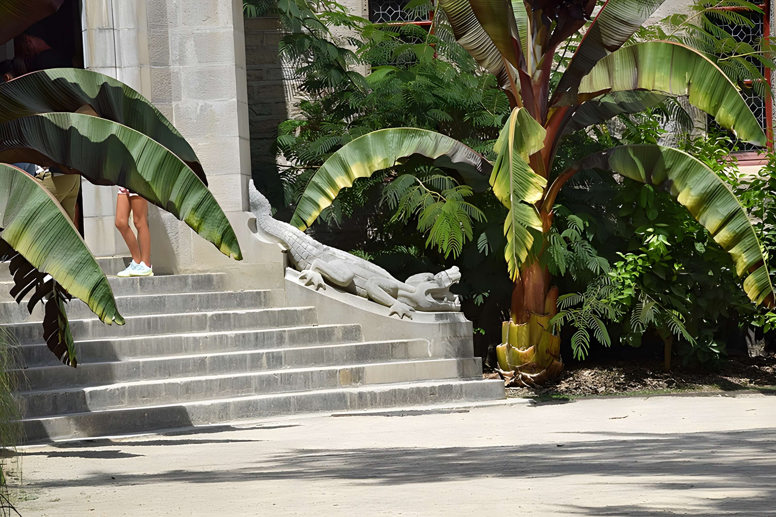 Château observatoire d'Abbadia