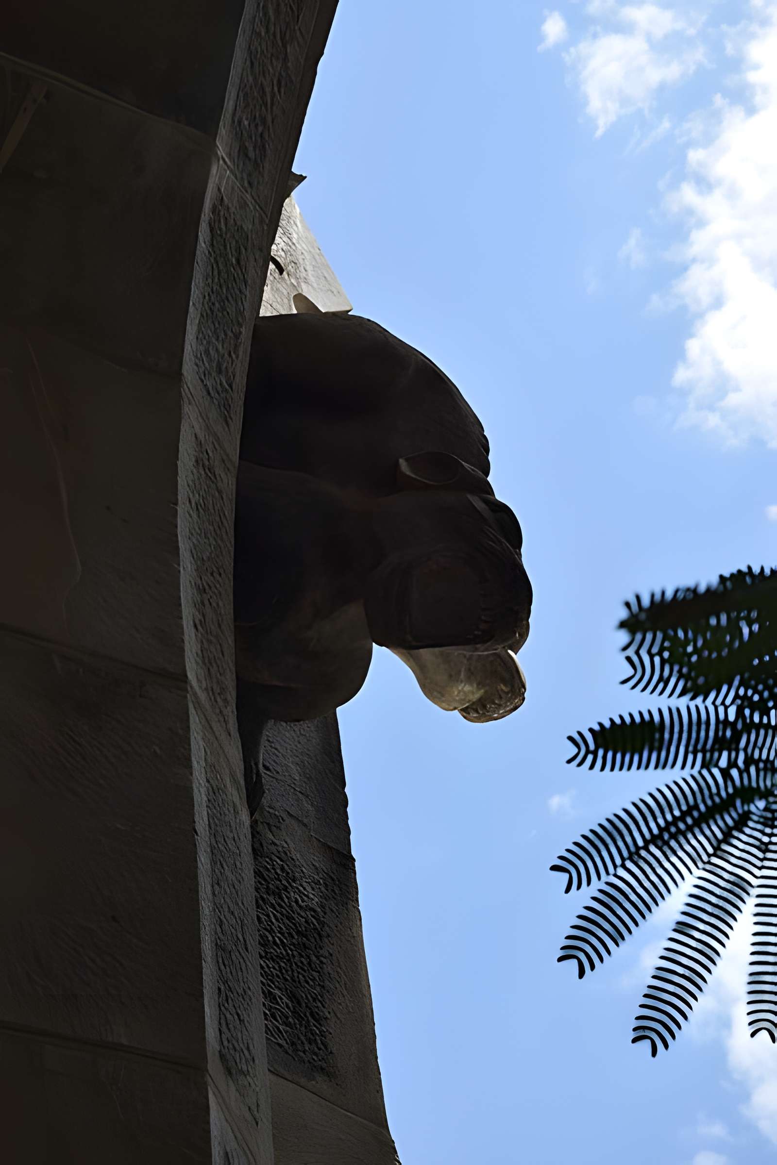 Château observatoire d'Abbadia