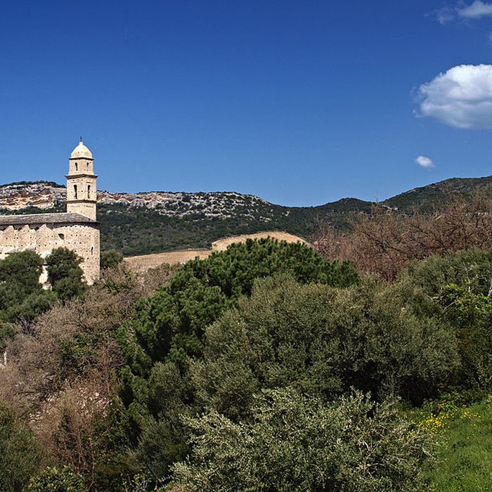 Photo de Église Saint-Martin de Patrimonio